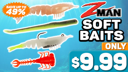 View Deals!