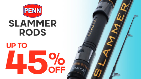 View Deals!