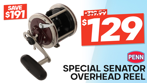 PENN Special Senator 112H2 High Speed Star Drag Overhead Reel