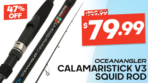 Ocean Angler CalamariStick V3 Squid Rod 8ft 3in PE0.4-1 2pc