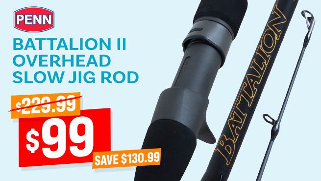PENN Battalion II Acid Wrap Overhead Slow Jig Rod 6ft 8in 30lb 1pc