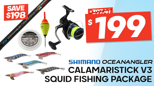 Shimano Nexave C3000HG FI Ocean Angler CalamariStick V3 Squid Fishing Package 8ft 3in PE0.4-1 2pc