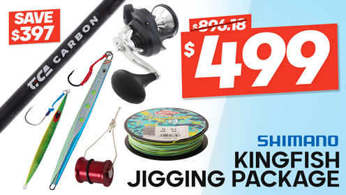 Shimano Torium 16A HG TiCA Carbon Kingfish Jigging Package 5ft 5in PE4-8 1pc