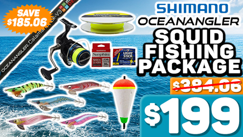 Shimano Nexave C3000HG FI Ocean Angler CalamariStick V3 Squid Fishing Package 8ft 3in PE0.4-1 2pc