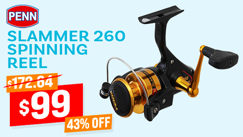 PENN Slammer 260 Spinning Reel