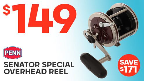 PENN Senator Special 112H2 Star Drag Overhead Reel