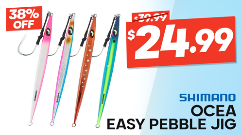 Shimano Ocea Easy Pebble Jig 350g