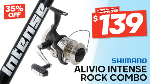 Shimano Alivio 10000 FA Intense Rock Combo 10ft 12kg 3pc