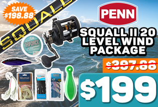 PENN Squall II 20 Level Wind Package 6ft 6in 10kg 1pc