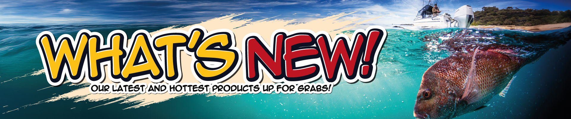 WHAT'S NEW! Banner