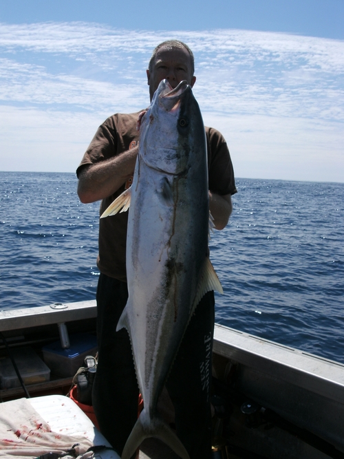 I'm convinced it was the best way to upgrade