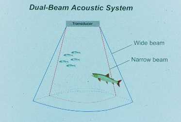 Dual Beam Acoustic System
